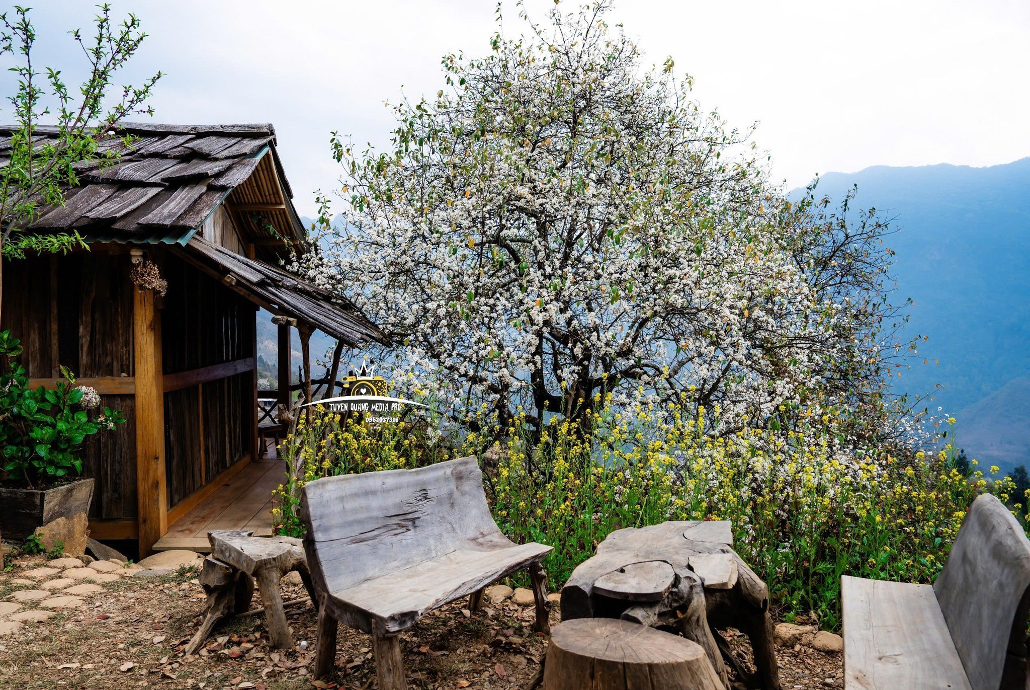 Das Dorf Nam Nghiep ist in der Blütezeit des Weißdorns märchenhaft schön.