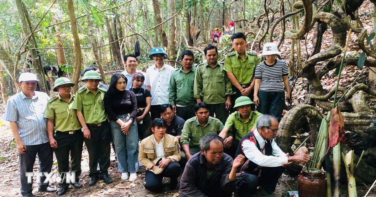 Đồng bào Jrai tạ ơn thần rừng phù hộ mưa thuận gió hòa, mùa màng bội thu