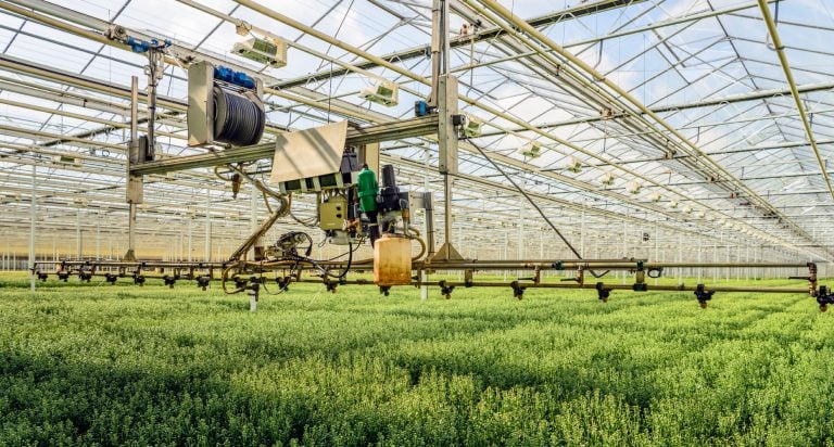 Aktueller Status der dänischen Landwirtschaft und Lebensmittelindustrie