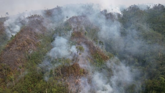 Dien Bien responde proactivamente a los incendios forestales