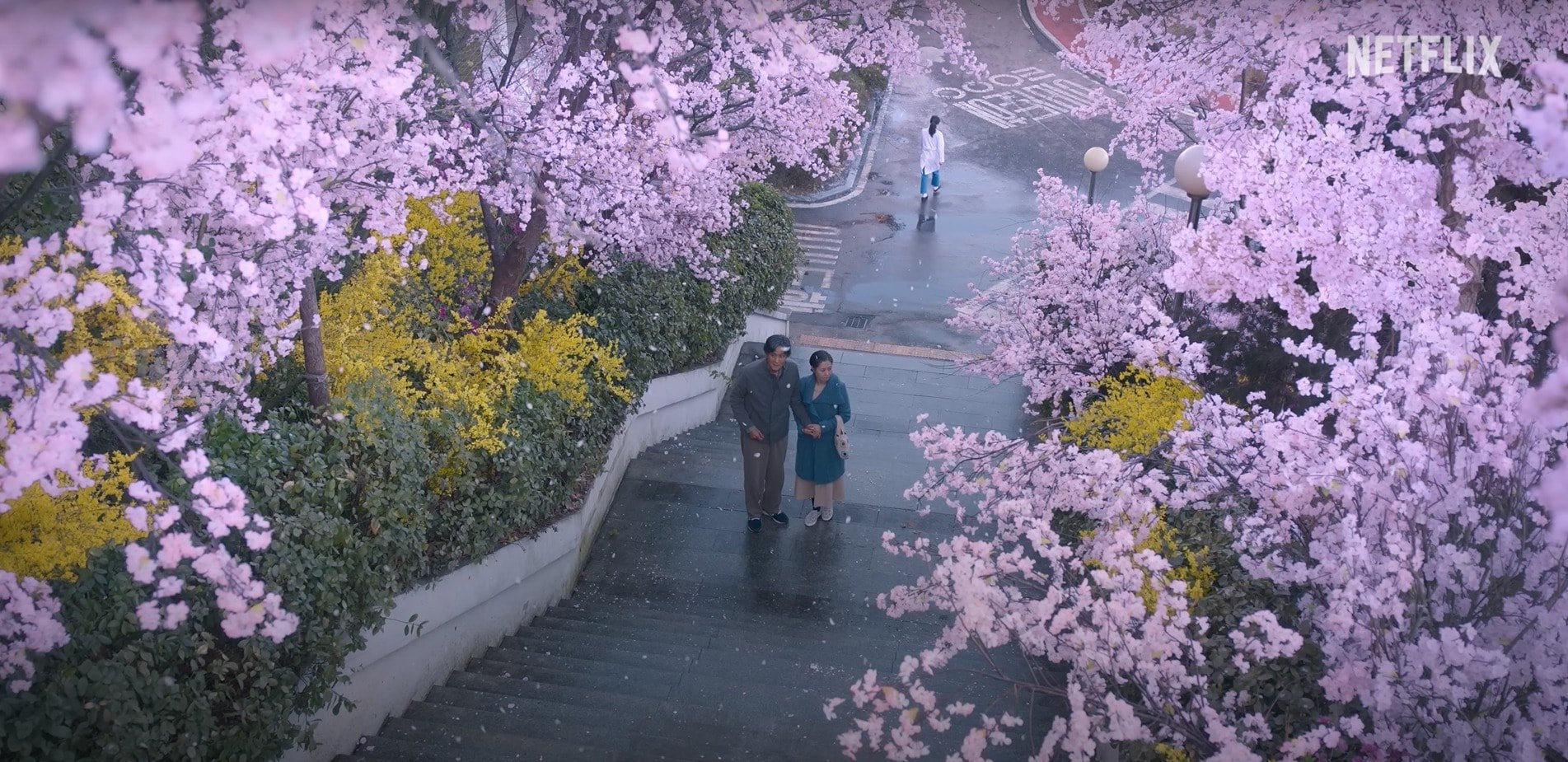 When Life Gives You Oranges Episode 13 - 16 6
