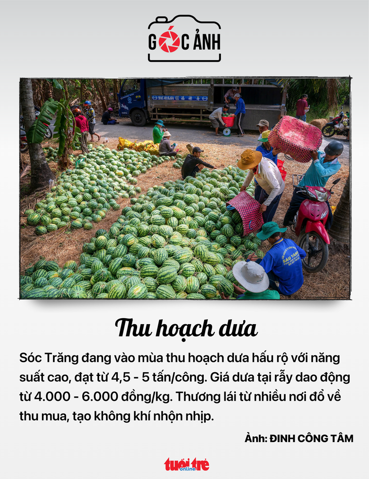 thuế VAT - Ảnh 7.