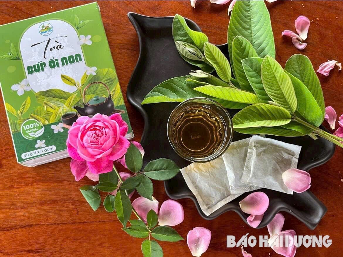 Biến búp ổi thành trà - hướng đi mới của nông dân Thanh Hà - Ảnh 2.