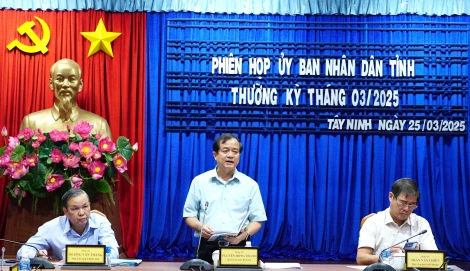 Phát triển kinh tế tăng trưởng khá