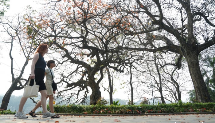 ฮานอยเป็นเมืองที่โรแมนติกและมีบรรยากาศแห่งบทกวีในช่วงเปลี่ยนฤดูกาล