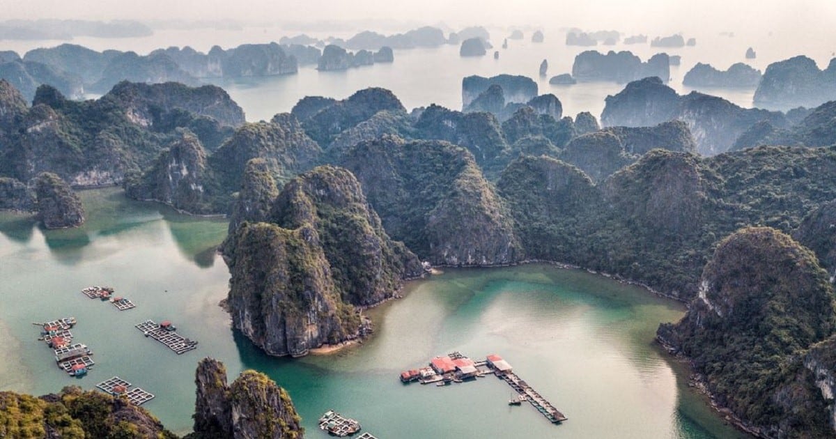 Bai Tu Long Bay sightseeing and tourism tours are about to open