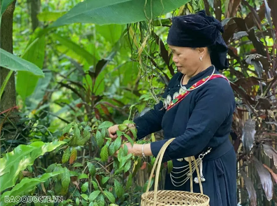 Bản làng 'cổ tích' giữa thủ đô gió ngàn