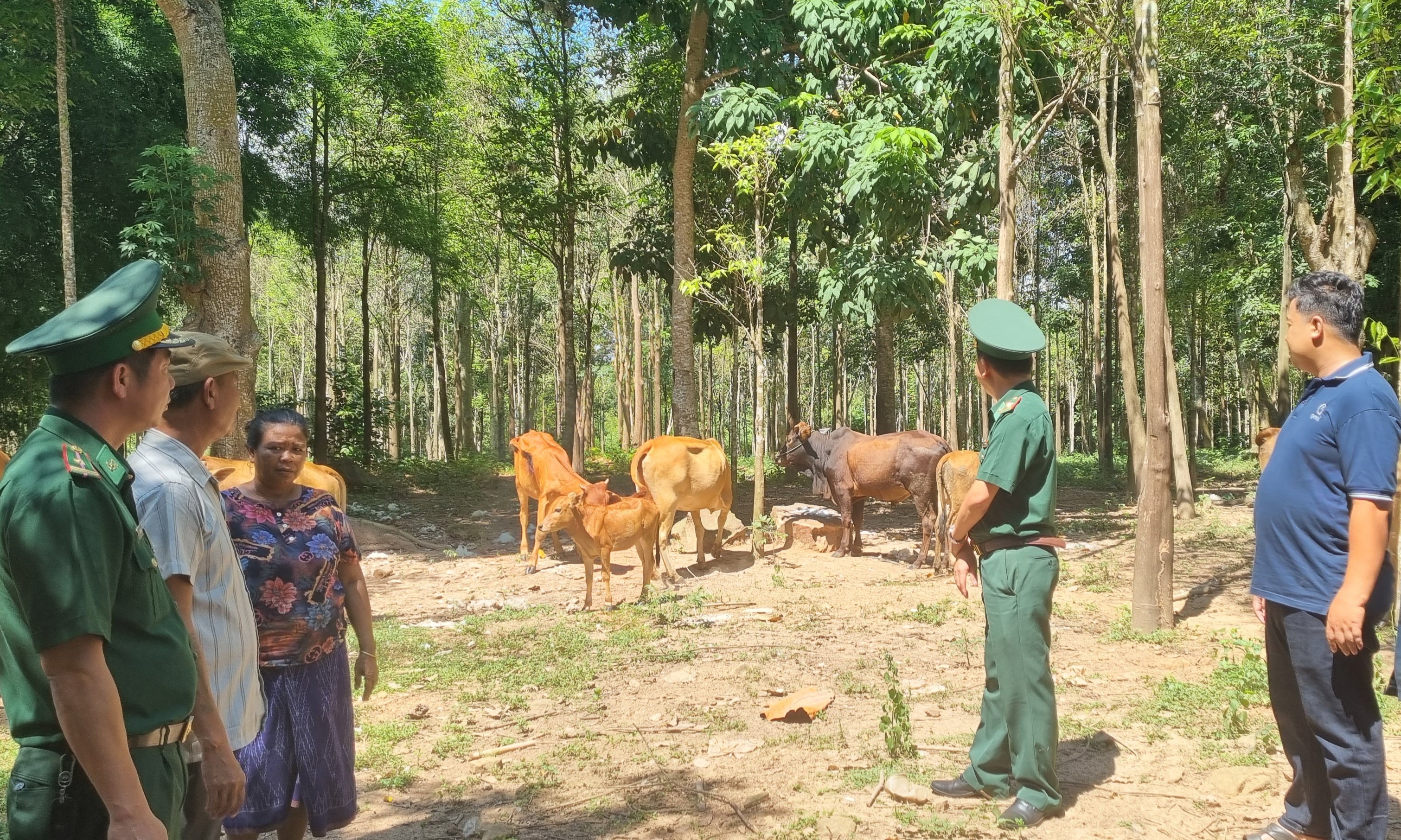 สนับสนุนการจัดสร้างต้นแบบการเพาะปลูกและการเลี้ยงสัตว์ในกลุ่มหมู่บ้านเชียงตุบ (สปป.ลาว)