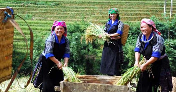 Kiểm toán đồng hành đẩy nhanh tiến độ giảm nghèo bền vững