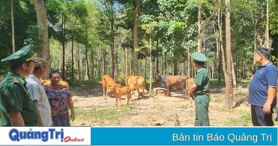 Soutenir la construction de modèles pilotes de culture et d'élevage dans le groupement villageois de Chieng Tup (Laos)