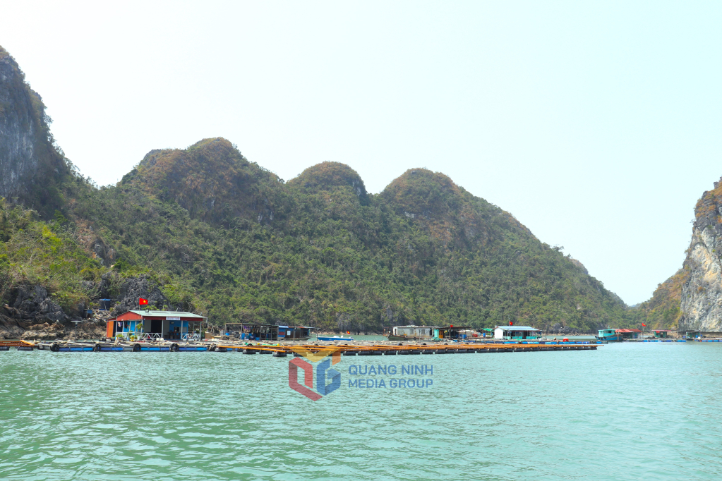 Pueblo pesquero de Lao Vong (Parque Nacional Bai Tu Long), ubicado en la ruta turística de la bahía de Bai Tu Long.