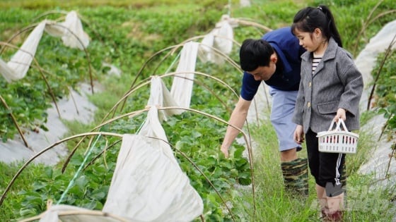 Bán hàng không cần ra chợ vẫn nườm nượp khách