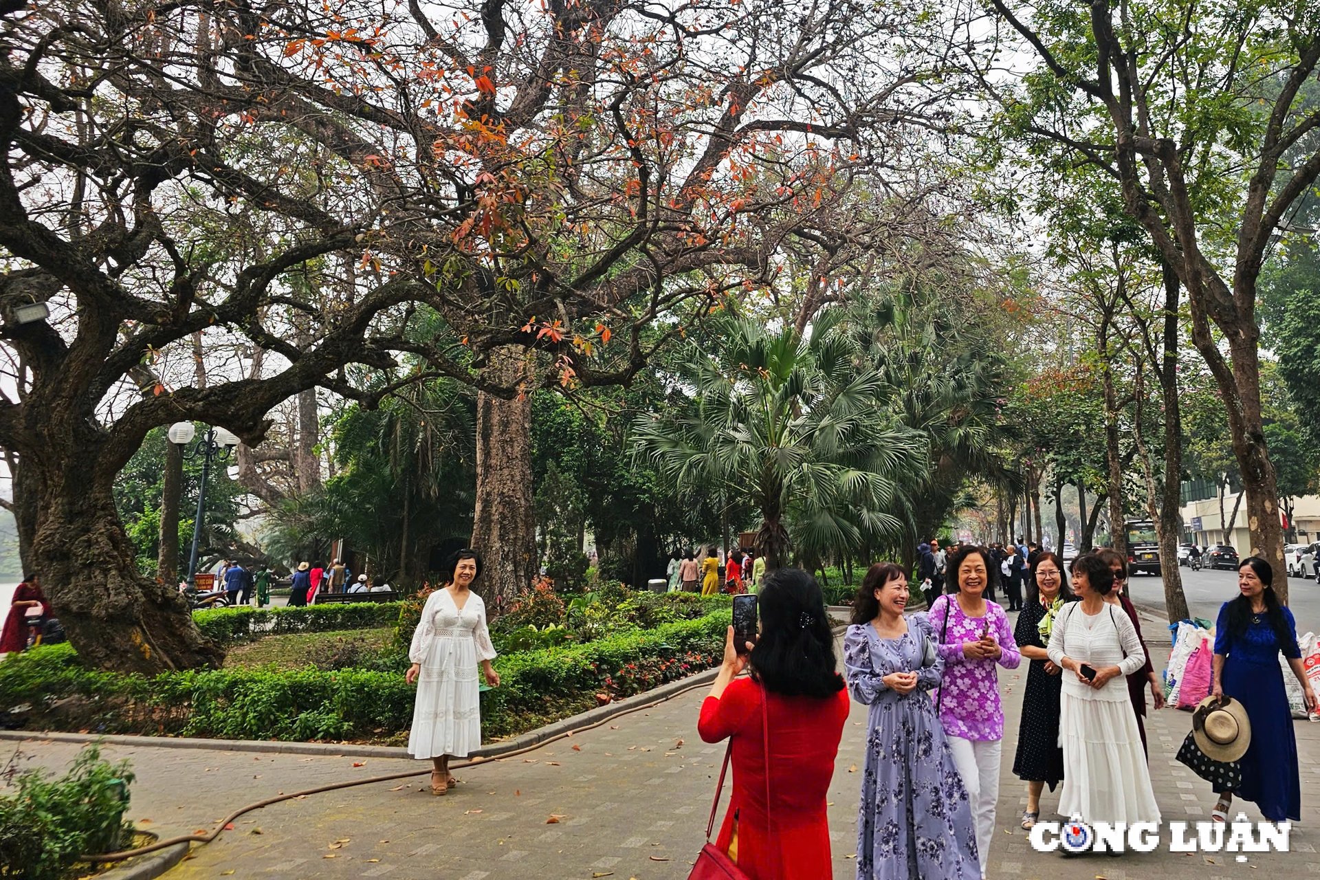 Hanoi romantisch und poetisch zur Zeit des Jahreszeitenwechsels Bild 5