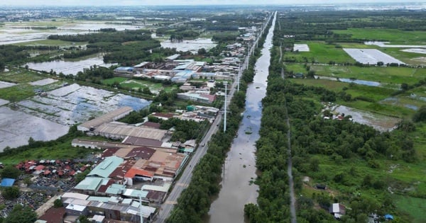 Se espera recuperar más de 250 hectáreas de tierra para el proyecto