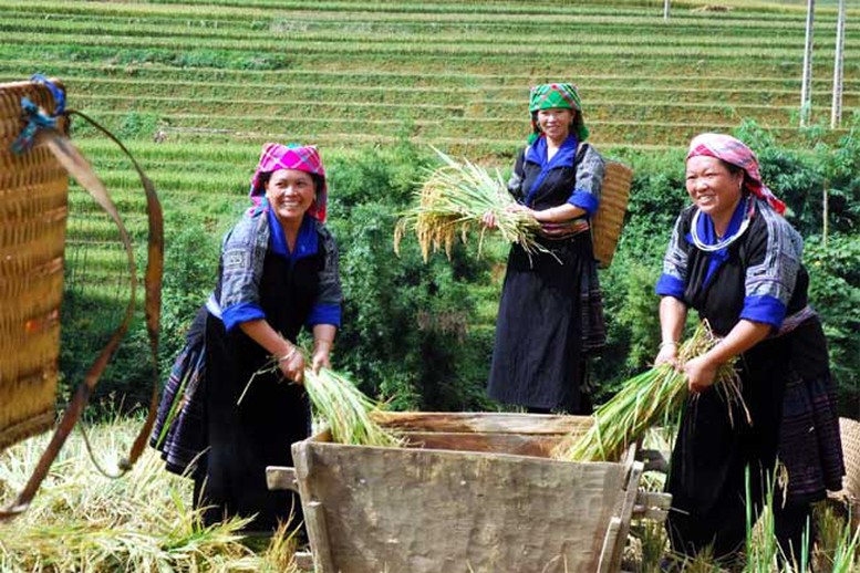 Kiểm toán đồng hành đẩy nhanh tiến độ giảm nghèo bền vững- Ảnh 1.