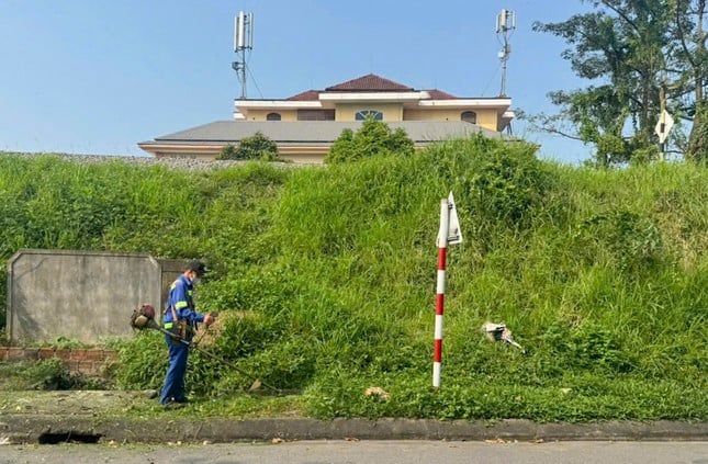 Quang Tri se mobilise pour nettoyer le parcours du marathon de Tien Phong 2025 photo 8