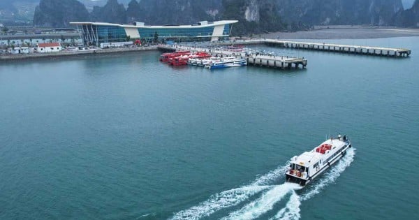 El propietario del barco se compromete a no aumentar el precio del billete desde el puerto de Ao Tien a Van Don, Co To