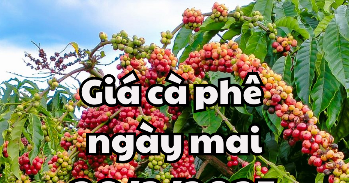 ព័ត៍មាន ព្យាករណ៍តម្លៃកាហ្វេថ្ងៃស្អែក ទី 26/03/2025 នឹងរក្សាកម្រិតបើកខ្ពស់។