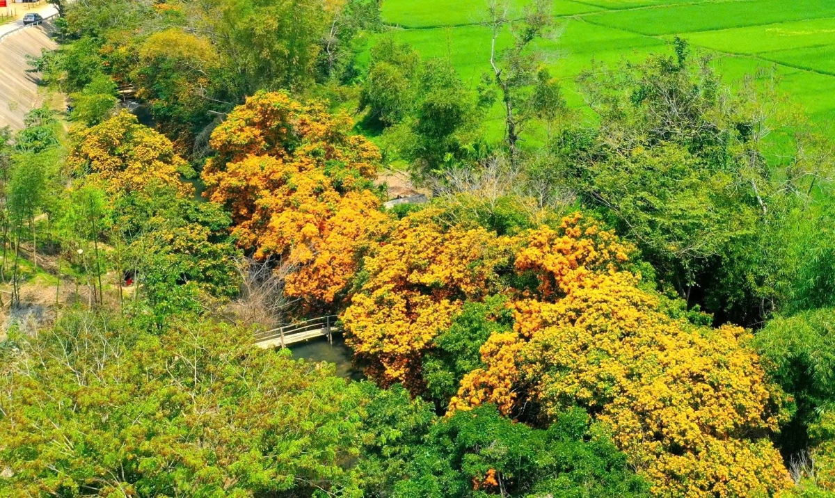ngay hoi thuong ngoan hoa trang suoi ta ma o vung cao binh Dinh hinh anh 4
