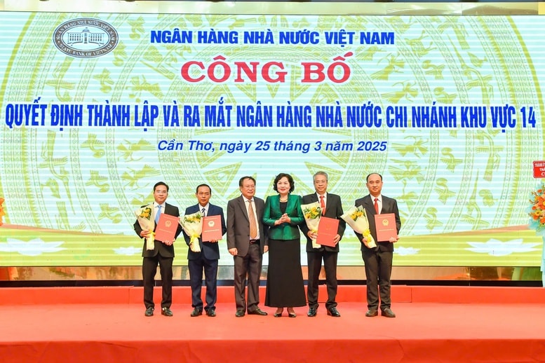 Concentrating capital to promote economic growth in the Mekong Delta