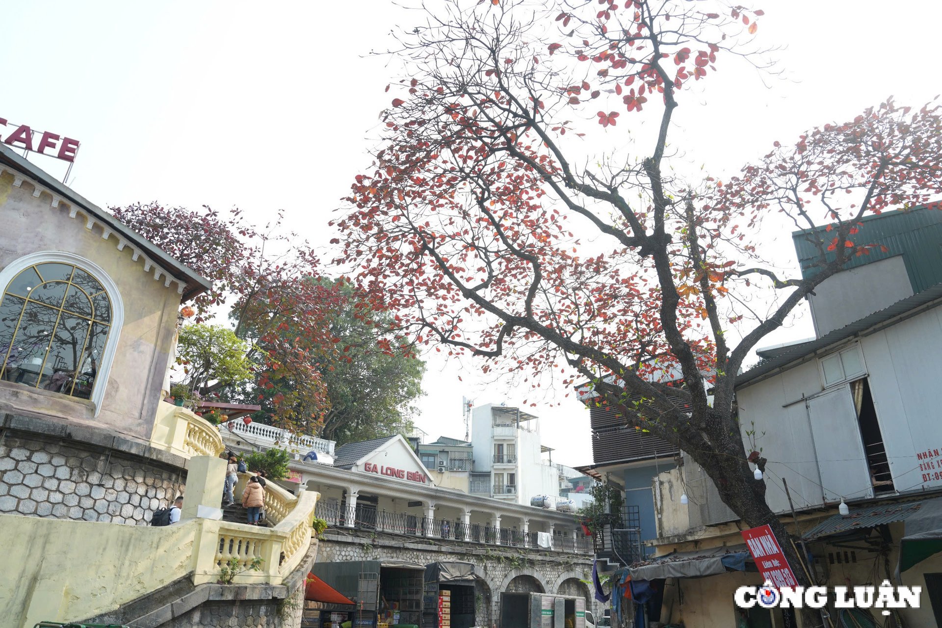 Hanoi romantisch und verträumt zur Zeit des Jahreszeitenwechsels Bild 13