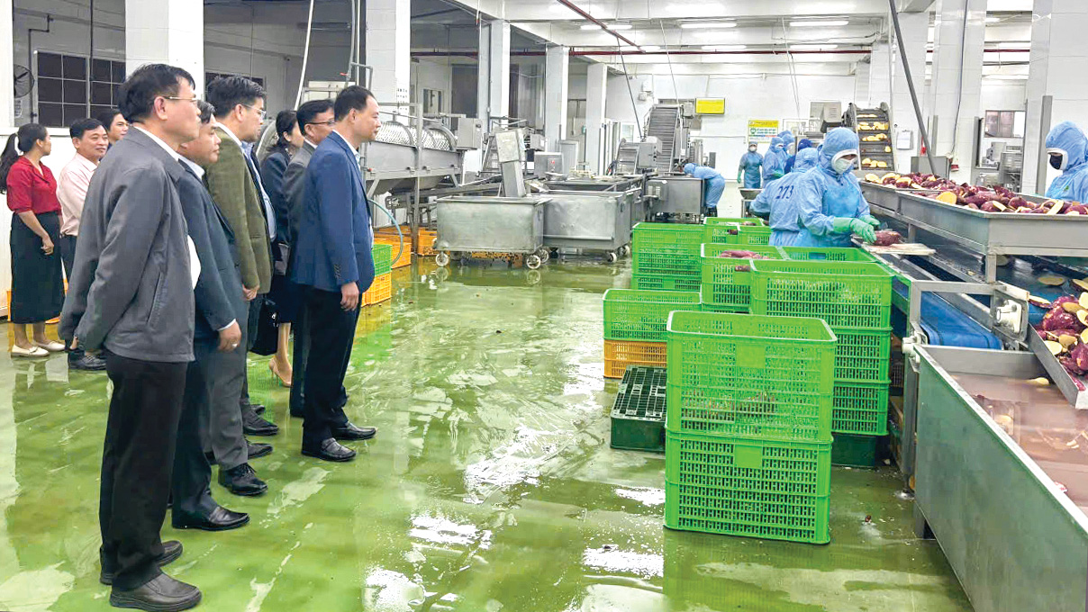 Comrade Tran Hong Thai - Chairman of the Provincial People's Committee, inspected the production situation at Vien Son Joint Stock Company (NThon Ha commune, Duc Trong district)