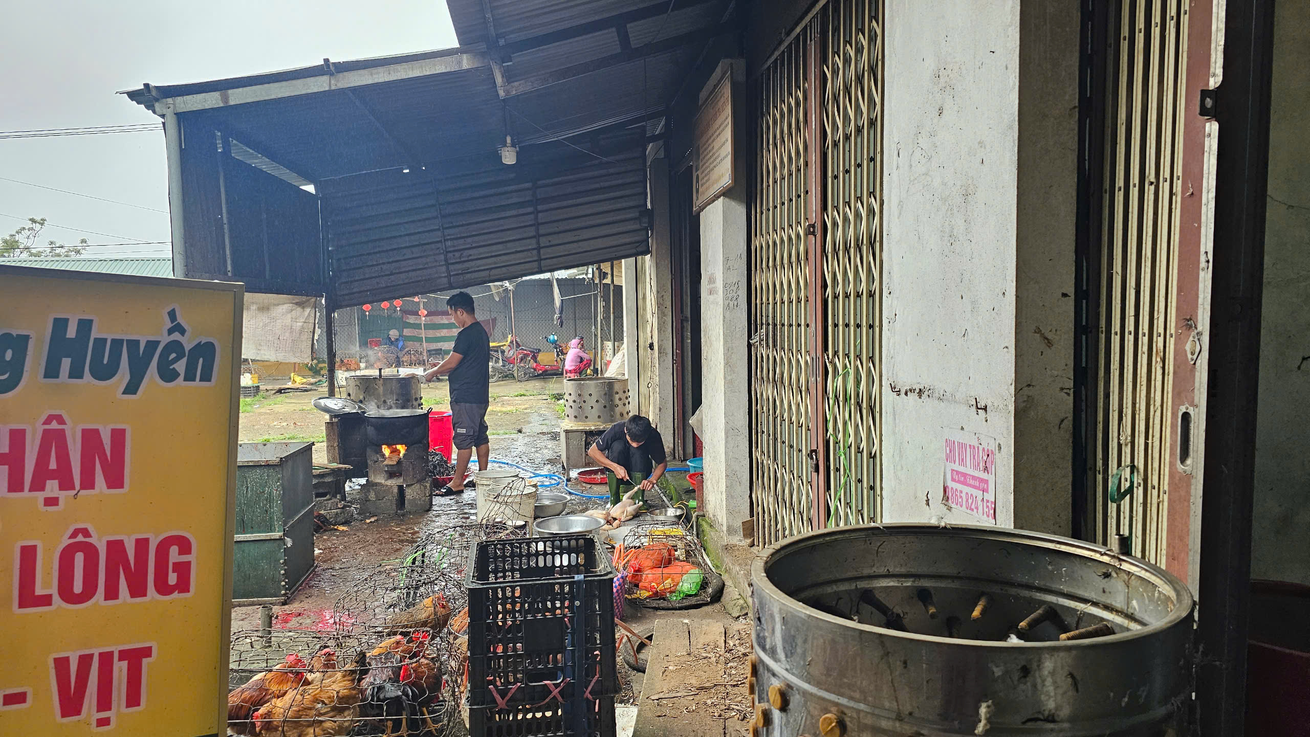 Mưu sinh với nghề “vặt lông” gia cầm