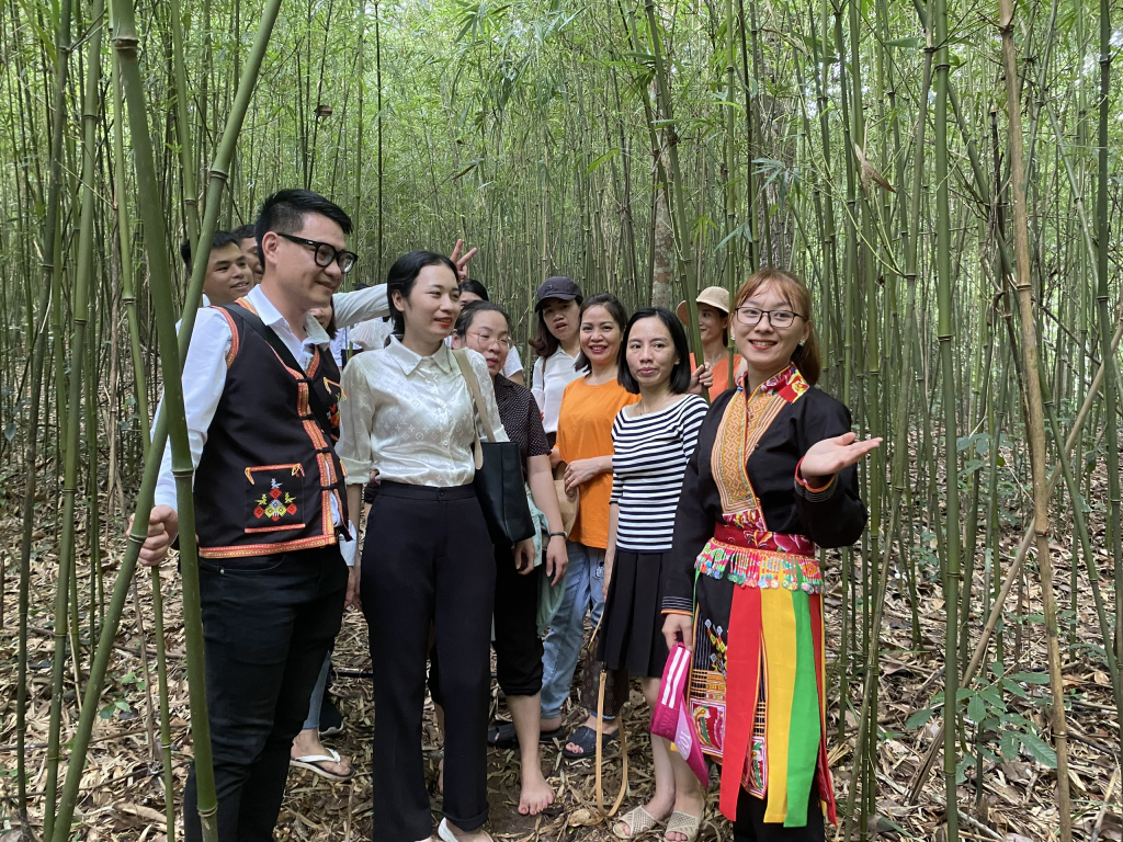 Experiential tourism in Ky Thuong commune is loved by many tourists.