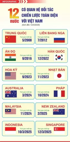12 countries have comprehensive strategic partnership with Vietnam