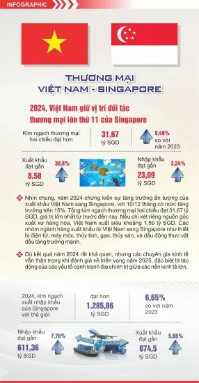 Vietnam - Singapore Trade