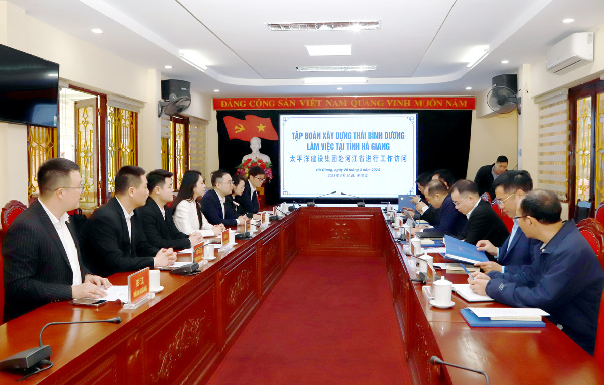 Toàn cảnh buổi làm việc
