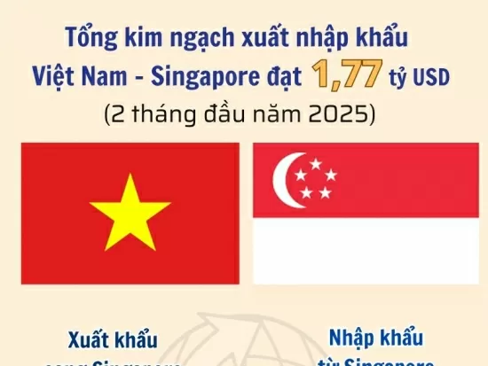 Infographic | Vietnam - Singapore import and export reached 1.77 billion USD