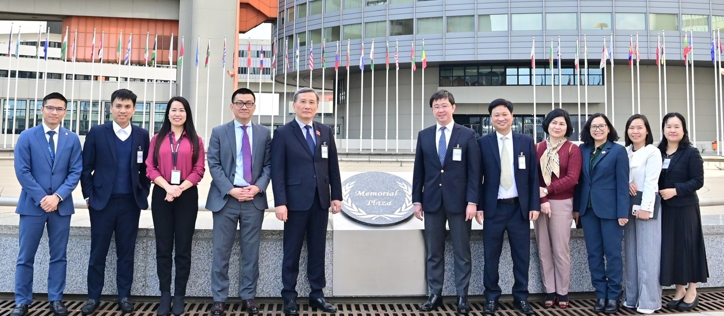 Thúc đẩy hợp tác Việt Nam – IAEA trong phát triển năng lượng nguyên tử an toàn và bền vững   - Ảnh 1.