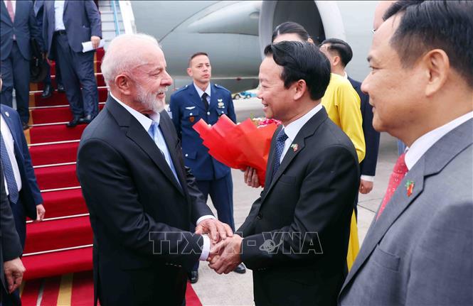 Landwirtschafts- und Umweltminister Do Duc Duy begrüßt den brasilianischen Präsidenten Luiz Inácio Lula da Silva am internationalen Flughafen Noi Bai in Hanoi. Foto: Pham Kien/VNA