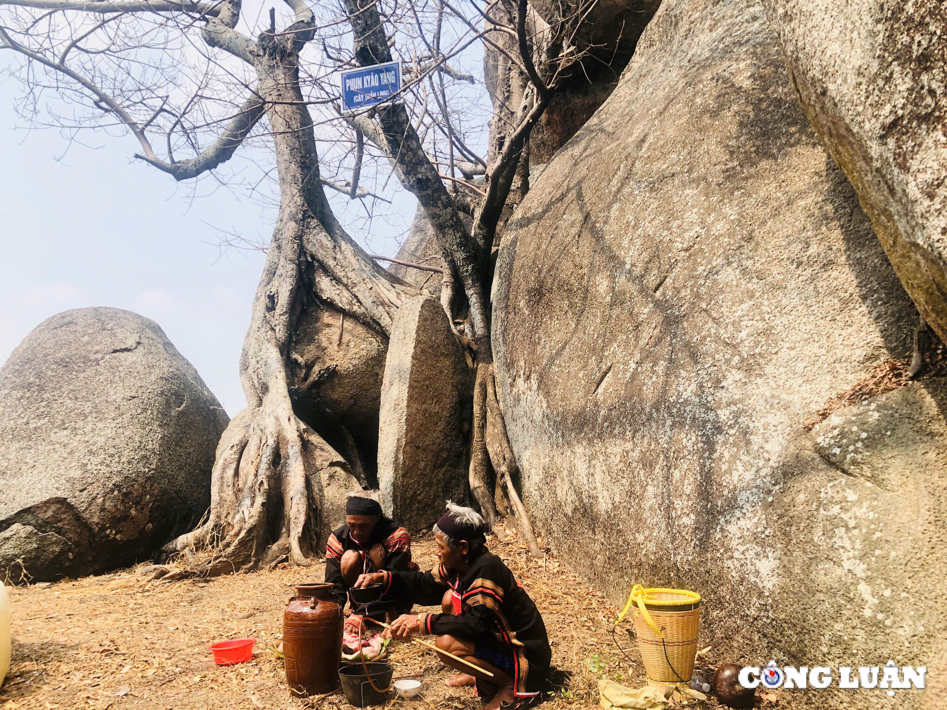 Gia Lai 신들의 산에서 제물을 바치고 물건을 사는 독특한 축제, 이미지 7