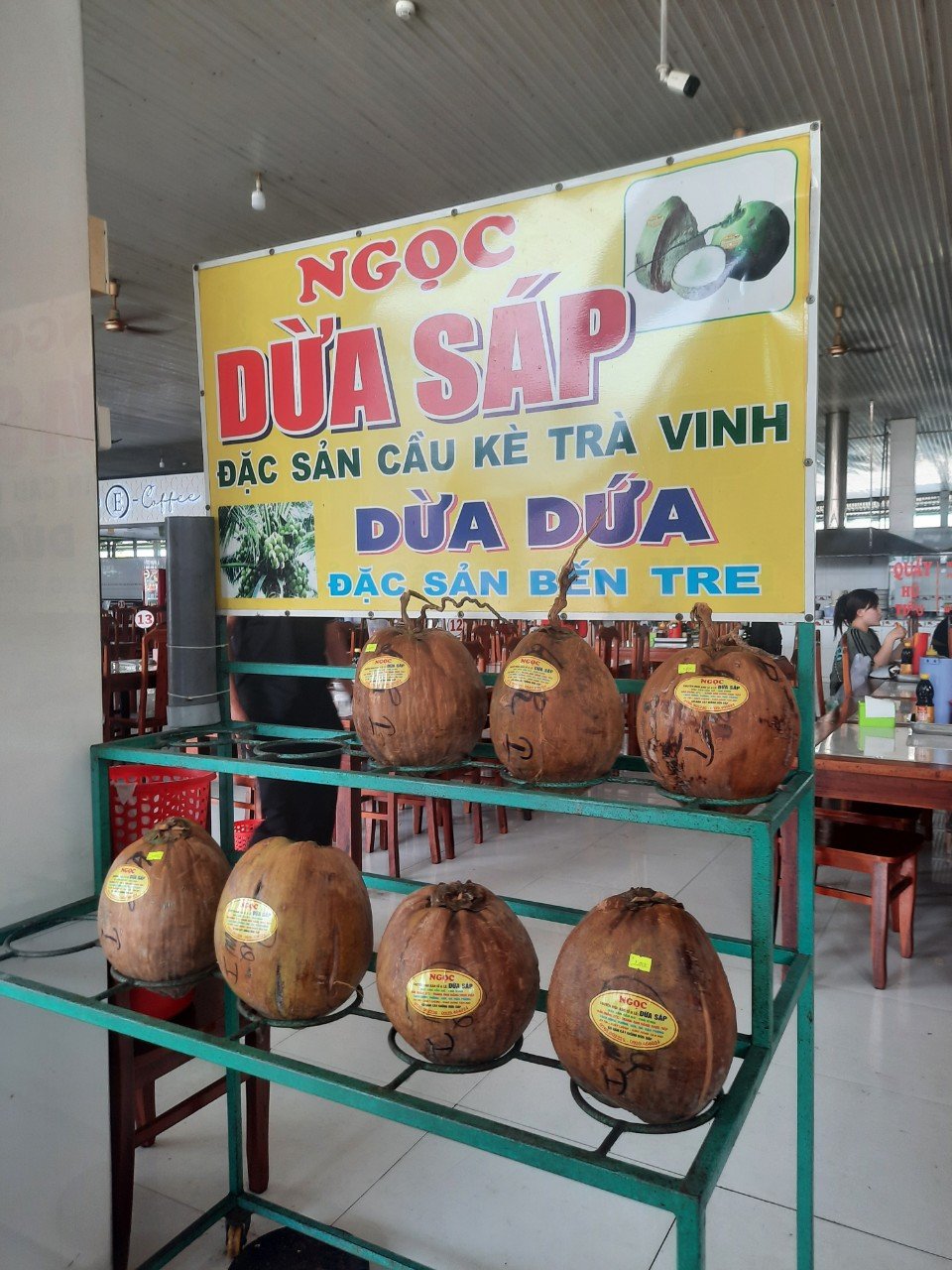 Dừa sáp, loại quả ngon, đặc sản Trà Vinh, cây thấp tè trái quá trời, hễ bẻ là bán hết veo, cục tiền- Ảnh 5.