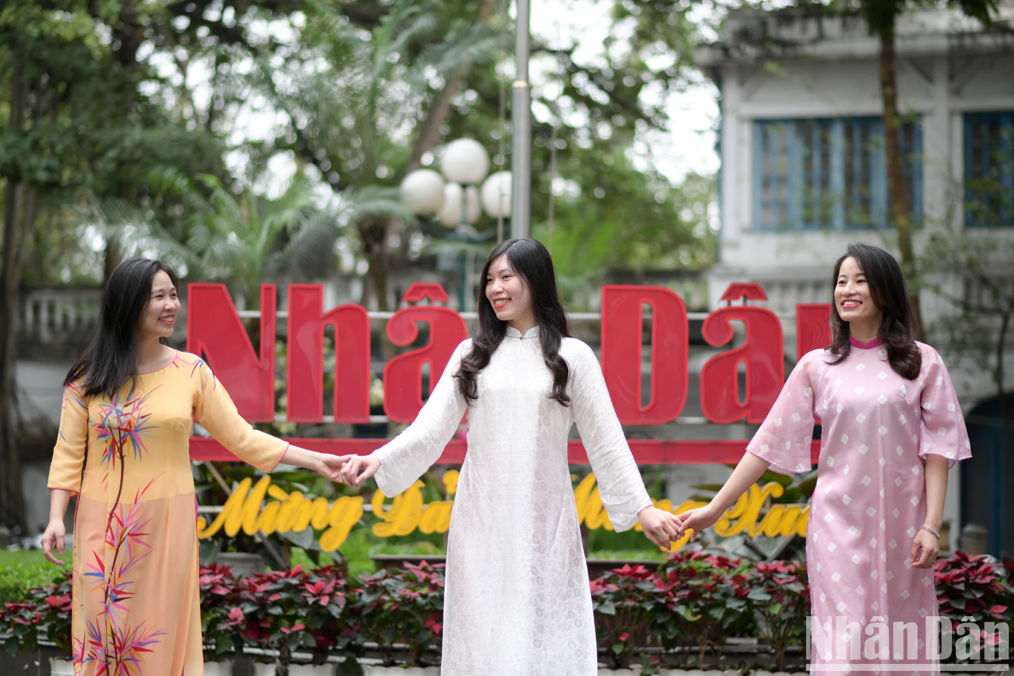 [Foto] El reportero del periódico Nhan Dan se muestra elegante en la foto 6 del ao dai vietnamita.