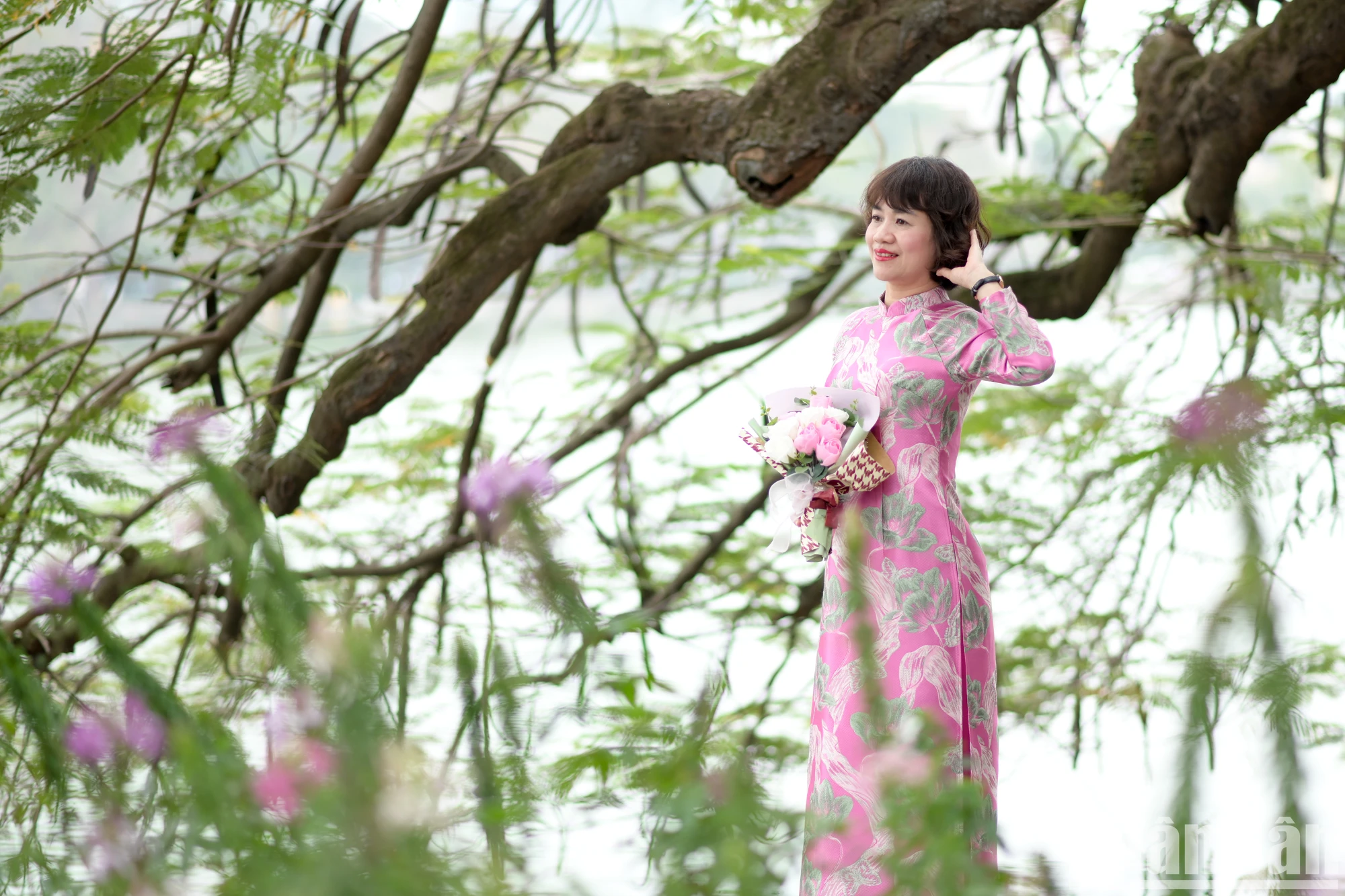 [Foto] El reportero del periódico Nhan Dan se muestra elegante en la foto 9 del ao dai vietnamita.