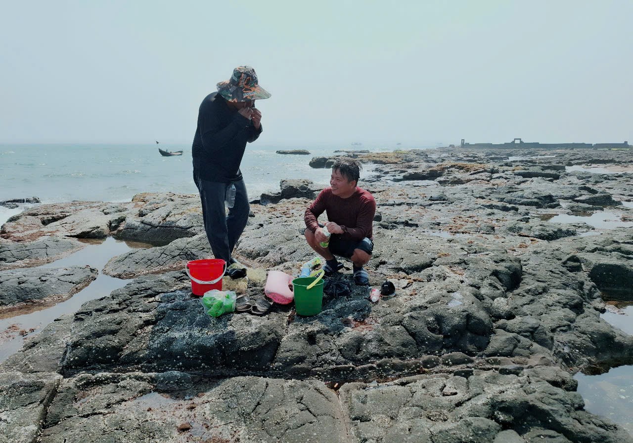 Turunlah ke terumbu karang untuk menangkap lobster muda.