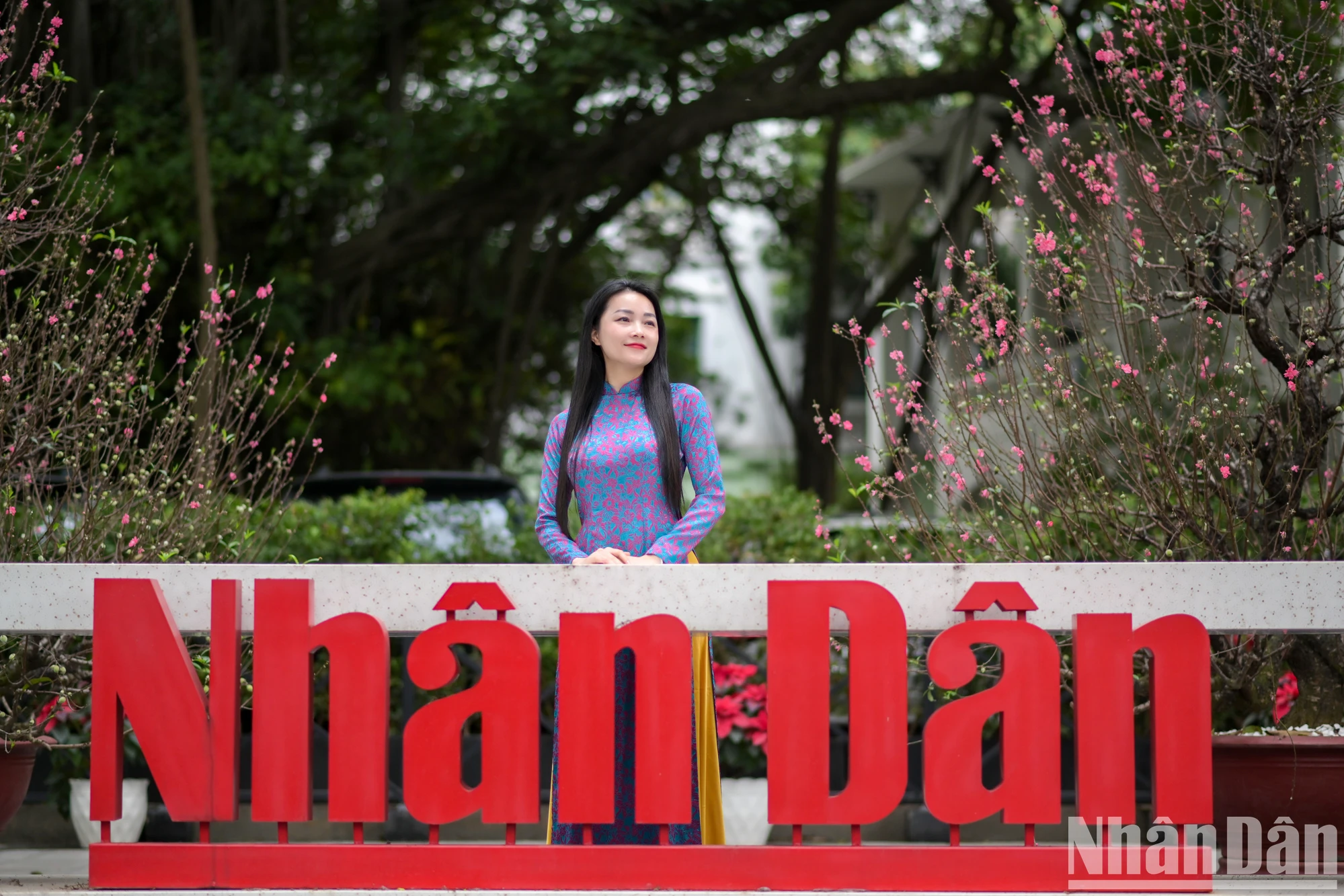 [Foto] El reportero del periódico Nhan Dan se muestra elegante en la foto ao dai vietnamita 12