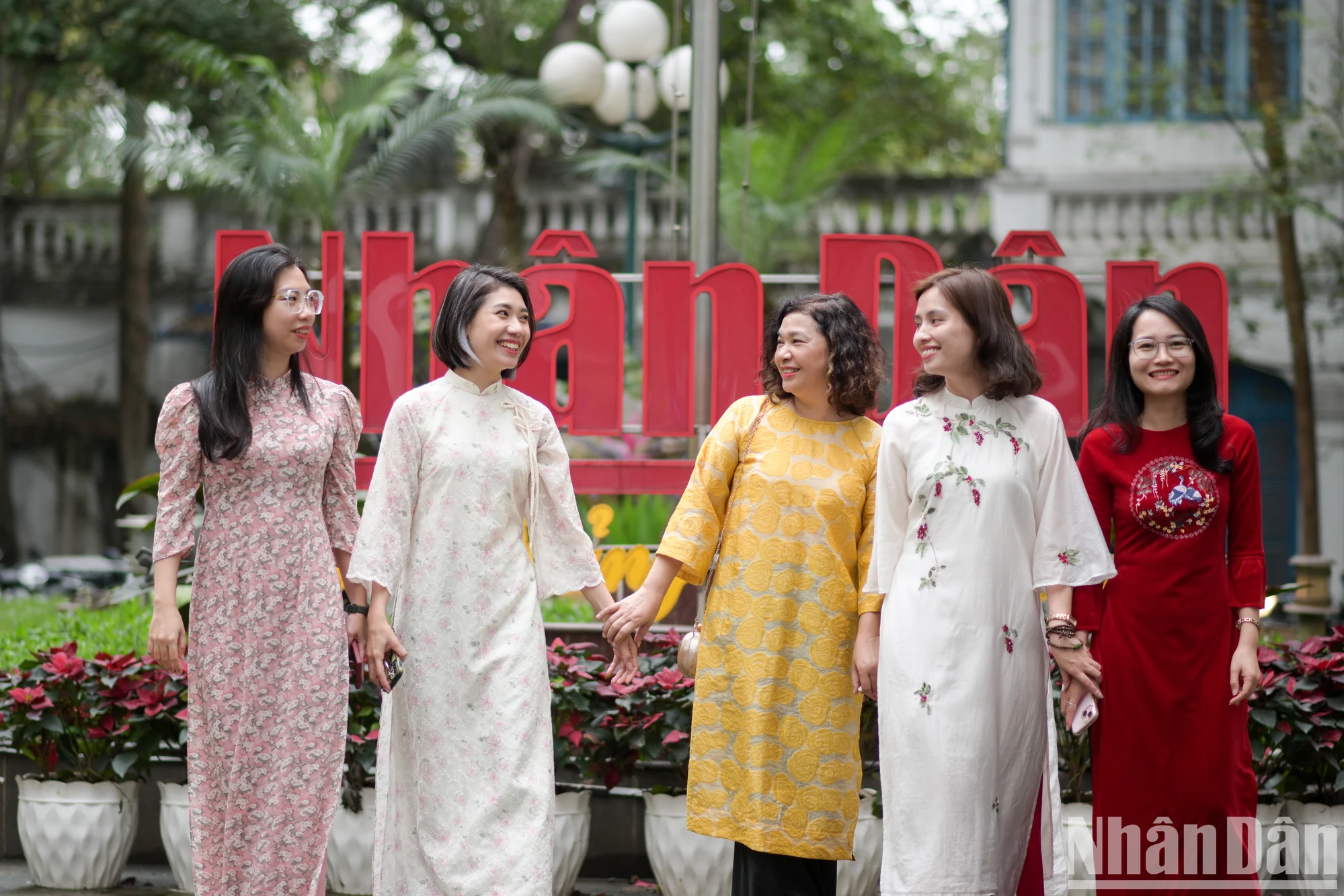 [Foto] El reportero del periódico Nhan Dan se muestra elegante en la foto 5 del ao dai vietnamita.