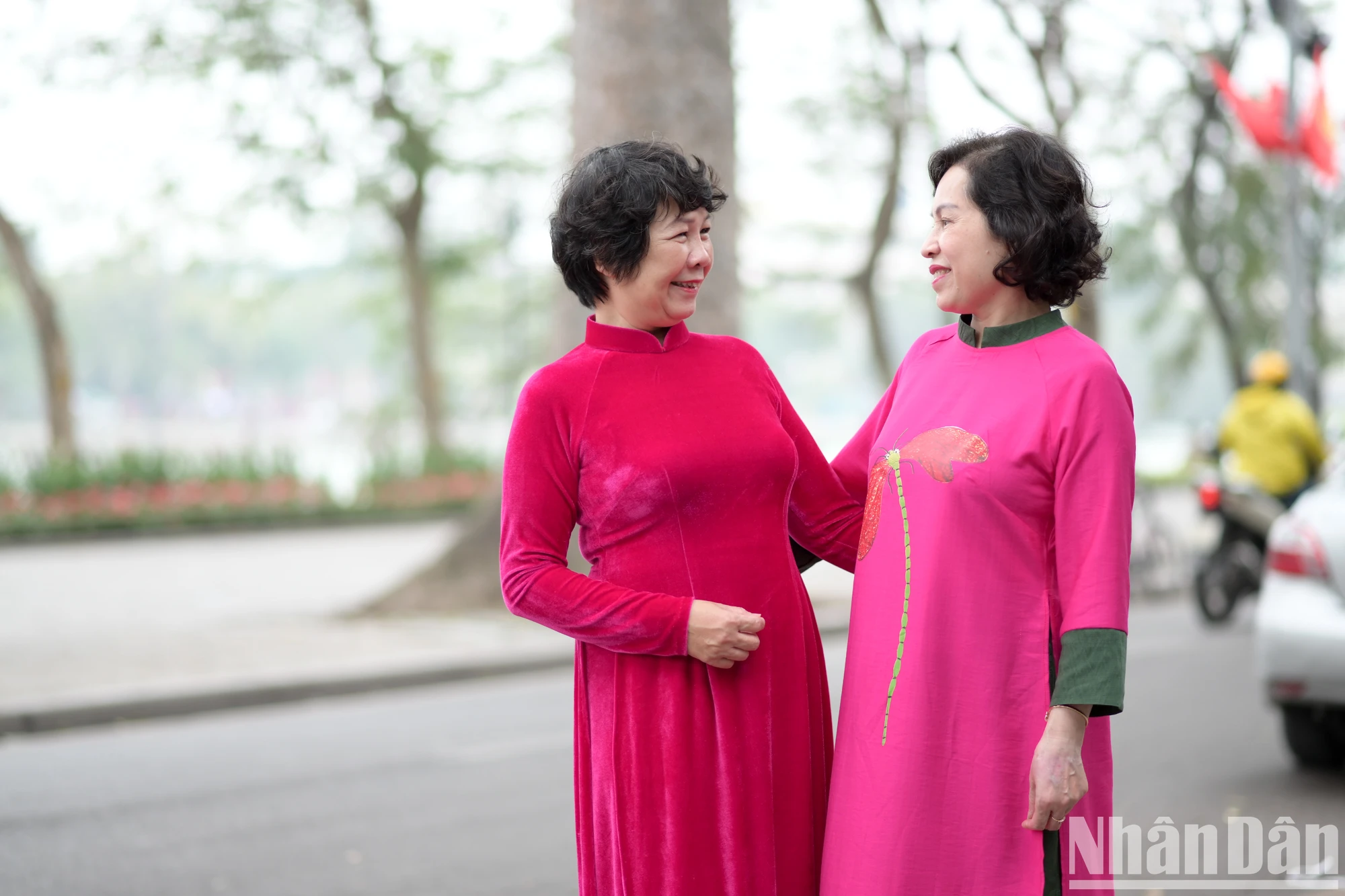 [Foto] El reportero del periódico Nhan Dan se muestra elegante en la foto 8 del ao dai vietnamita.