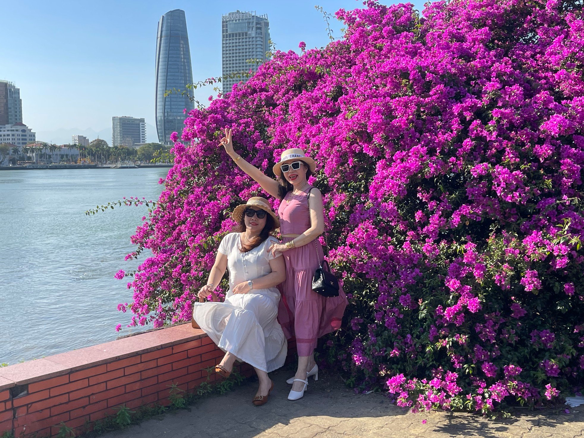 Bougainvillea flowers blooming brilliantly along the Han River photo 2