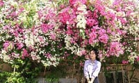 ดาลัต : แปลงดอกไม้ที่บอบบางเหมือนกระดาษของนักเรียน