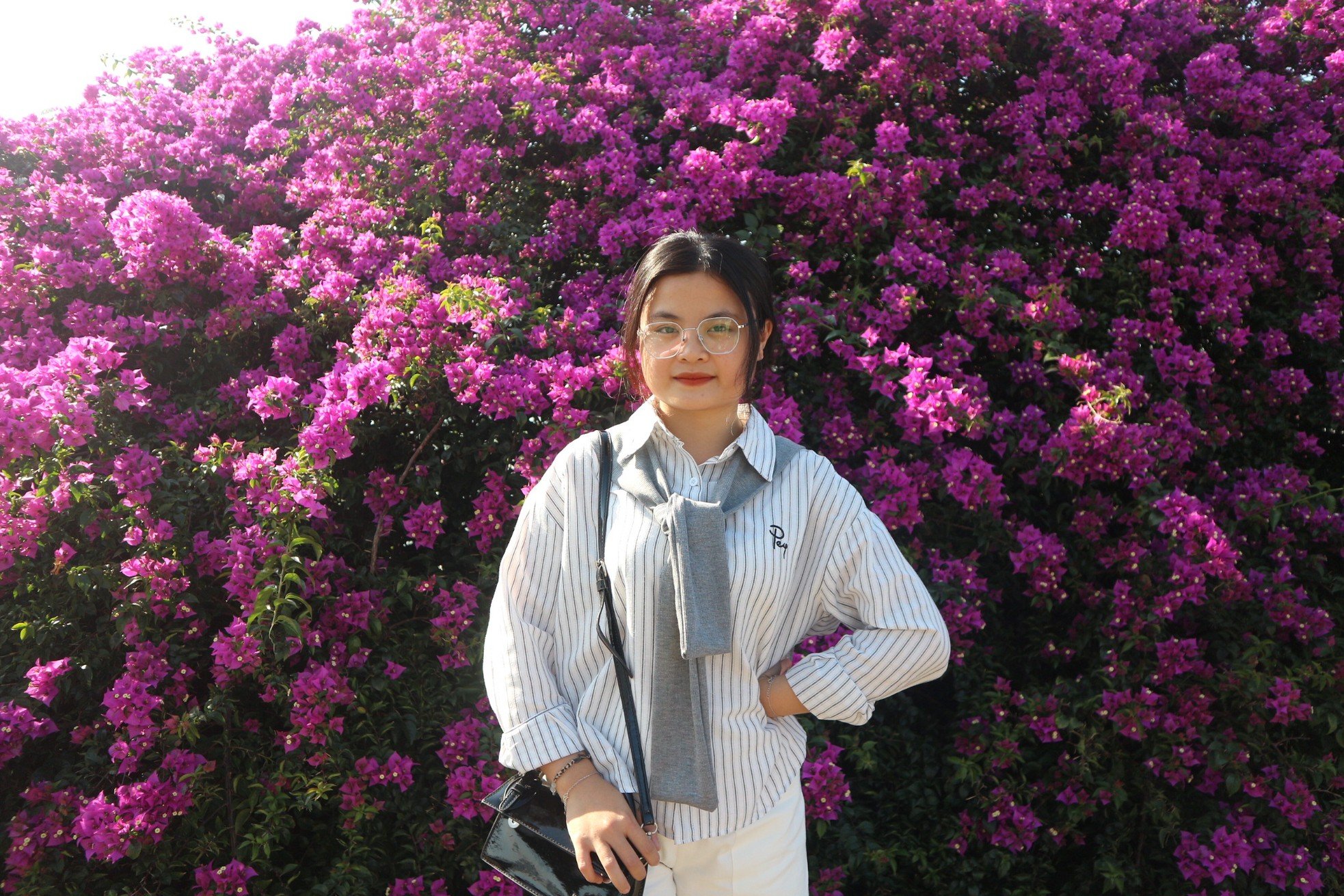 ดอกเฟื่องฟ้าบานสะพรั่งริมฝั่งแม่น้ำฮัน ภาพที่ 3