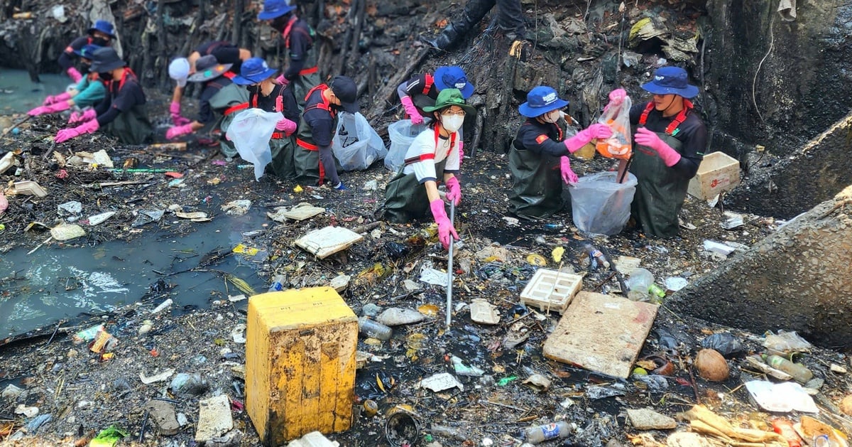 Admiring the young man who immersed himself in collecting trash in the black canal, wanting to severely punish litterers