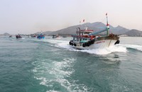 The fight against IUU fishing and fleet management, especially in the Central provinces, have seen positive changes. (Photo: chinhphu.vn)