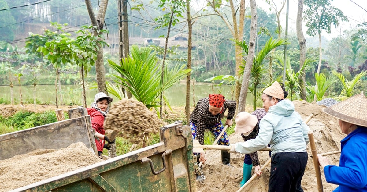 Uniting people's strength to build new countryside