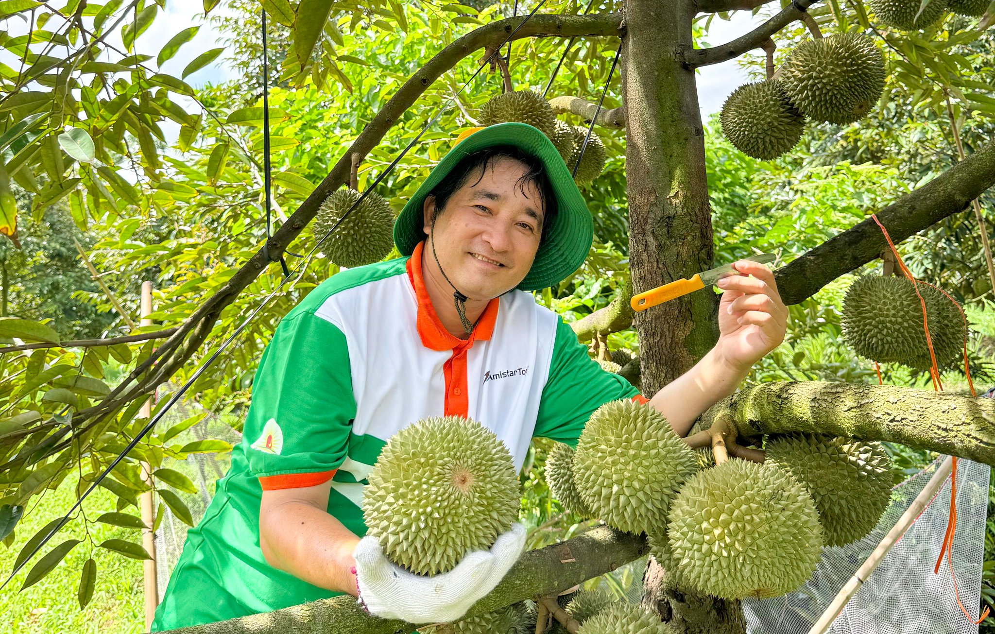 6 trung tâm xét nghiệm chất vàng O trong sầu riêng mới nhất - Ảnh 1.