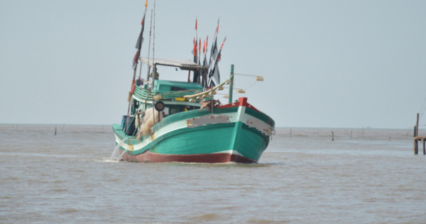 Fischerbootbesitzer in Ca Mau muss über 200 Millionen VND Strafe zahlen, weil er gegen die Reiseüberwachung verstoßen hat